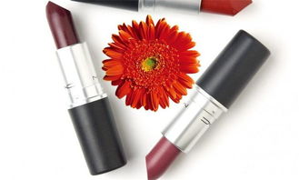 博成化妝品 產(chǎn)品展示與店鋪裝修的系統(tǒng)化計算機解決方案